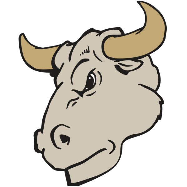 AR BULL 25 RC Thumbnail