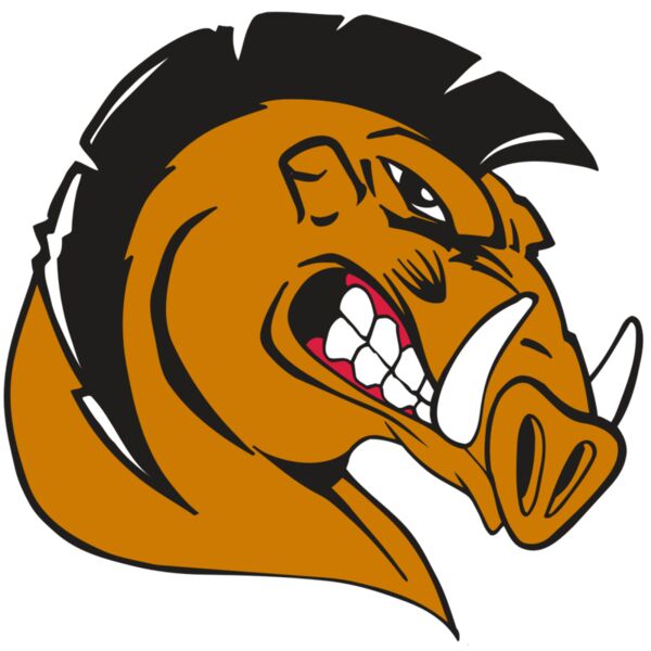 AR RAZORBACK 19 RC Thumbnail